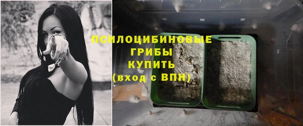 герыч Алзамай